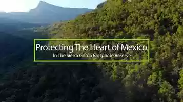 Free download Protecting The Heart of Mexico [Official Trailer] video and edit with RedcoolMedia movie maker MovieStudio video editor online and AudioStudio audio editor onlin